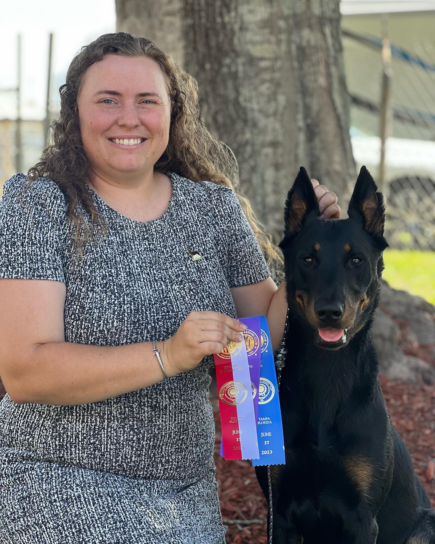 *NEW CHAMPION*
Sol shook off her shedding coat and pranced her way to win Best Opposite Sex and Winners Bitch for a 5 point major earning her her championship 😍
Super proud of this little girl earning her championship in just 3 major wins and with her very inexperienced owner handler 🤪 This dog has accomplished so much at under 2 years old, I can’t wait to see what else she does in the future ❤️
*Pending AKC Approval* IABCA/AKC CH SAR K9 Solstice du Grand Buech HSAs JHD
#thisisakc #akcchampion #beauceron #workingbeauceron