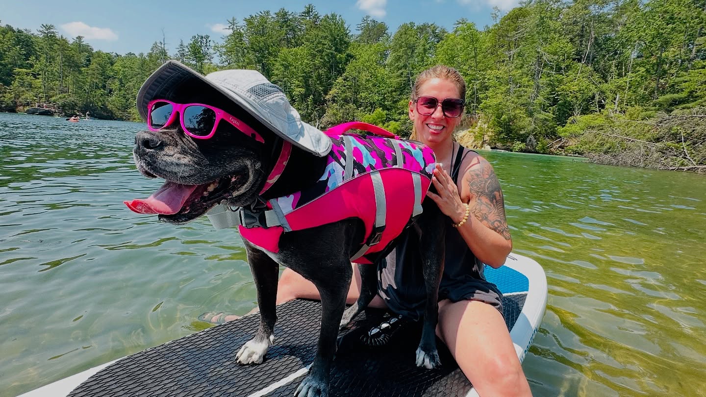 This dog. 🕶️ 🏄♀️☀️
((Because we all need something a little extra to make us smile sometimes.))
Her 11th birthday included paddle boarding… something she hadn’t done since she was 5 mos old… & camping. 🏕️ She’s a natural at both.
Sunnies + surf hat + life jacket = lake life
Not only was #shebatheamericabulldog smiling but so was everyone that saw her.
You’re welcome 😃
📸 cred: @justinlyons